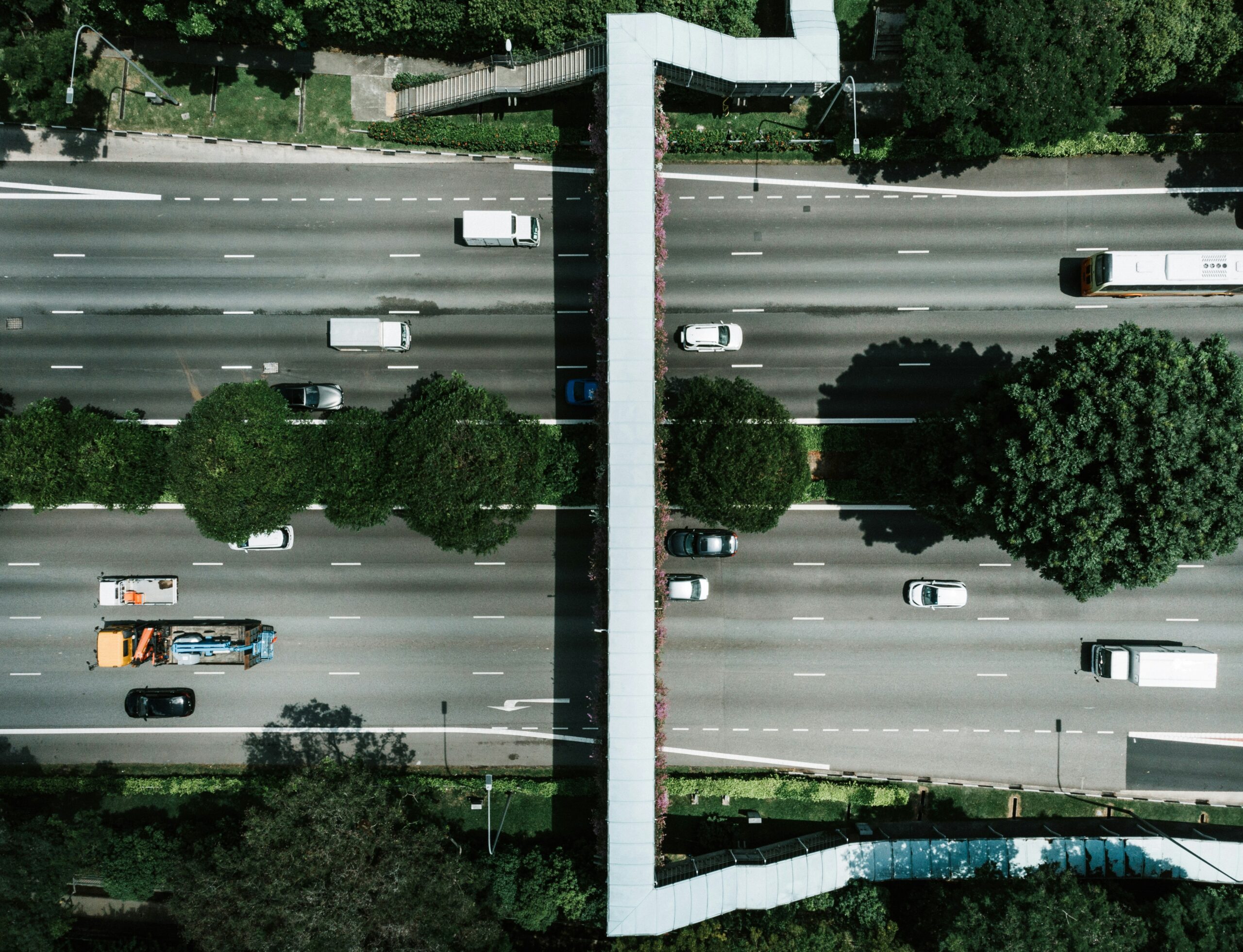 zhu-hongzhi--J8tHoN3qFc-unsplash